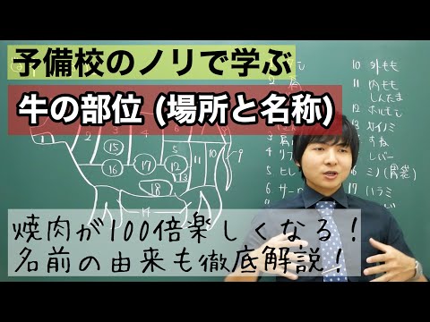 神聖な牛について詳しく解説