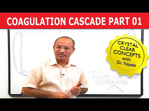 Coagulation Cascade | Part 1/12