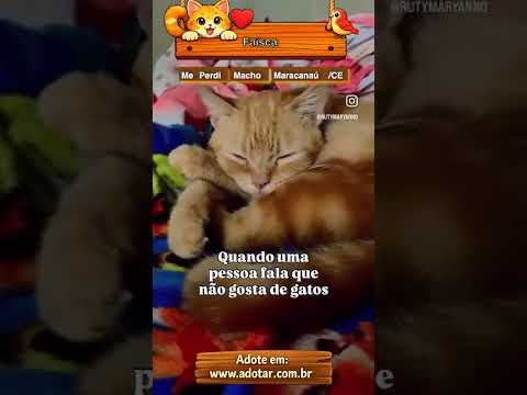 Vídeo de Faísca