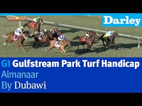 Almanaar by Dubawi wins the G1 Gulfstream Park Turf Handicap
