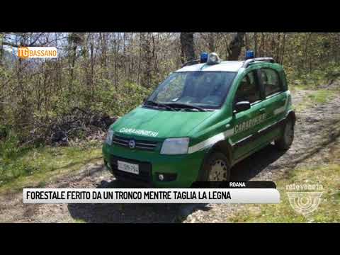 Topografia toracica Ginnastica Bubnovskaya ernia del rachide cervicale