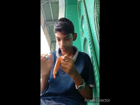 🍫👍📸NEW CHOCALATE #ilayangudi #streetfood #shorts #ramnad