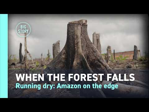 When the forest falls | Running dry: Amazon on the edge
