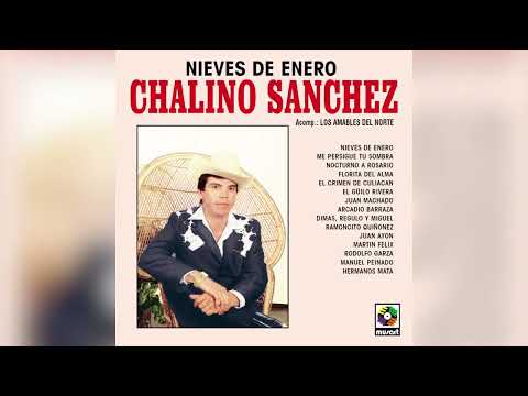 Chalino Sánchez - Me Persigue Tu Sombra (Visualizador Oficial)