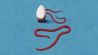 Wavves – “Help is on the Way”