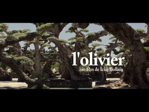 L'Olivier Haut et Court / The Match Factory