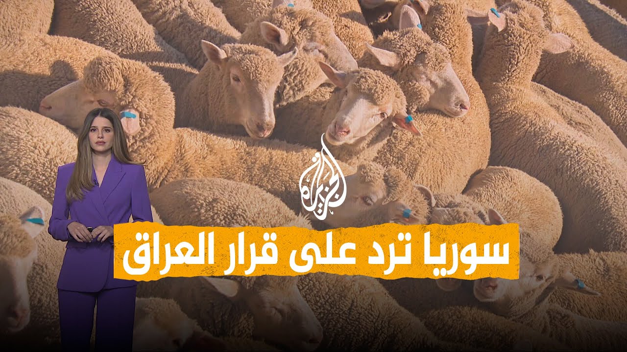 فيديو | شبكات | سوريا ترد على العراق: الحمى القلاعية غير منتشرة