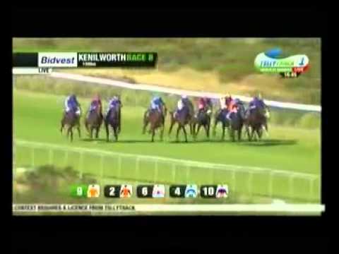 Uncle Jim (Jay Peg) Race 8, Kenilworth - 17th December 2014