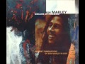 Bob Marley - One Dub