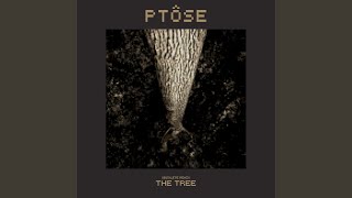 The Tree - Obsolete Remix Music Video