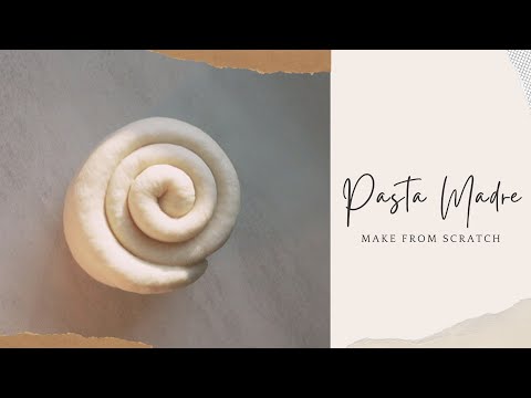 How to Create your Own Pasta Madre for Panettone
