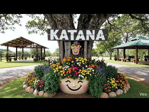 @hatillo   Canal de las Agencias de RIV en el Hatillo.