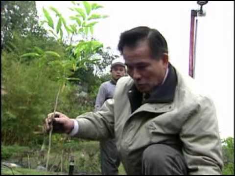 水土保持固家園 活力鄉村展新貌 -原生植物