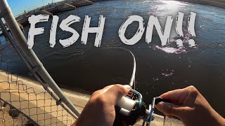 Stripers Love Moving Water!! | CA Aqueduct Striper Fishing | Delta Mendota Canal |