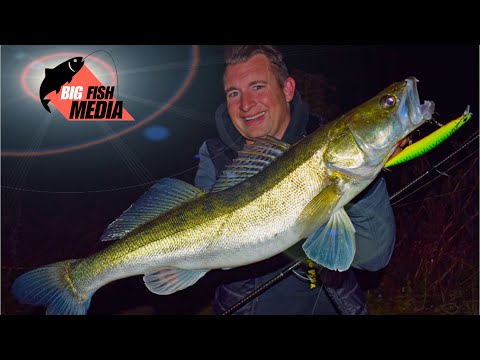 Angeln auf Zander - Nachts erfolgreich mit dem Wobbler