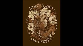 Streetlight Manifesto - Toe to Toe