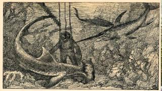 Nigel Bunn - sea goose