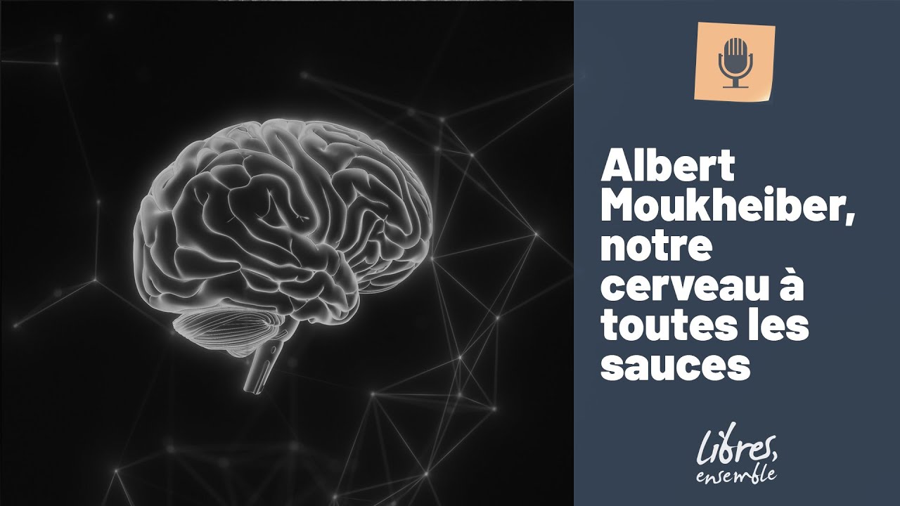 Albert Moukheiber, notre cerveau à toutes les sauces