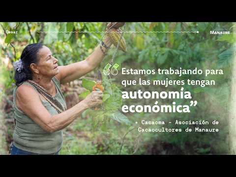 El cacao que empodera a las mujeres de Manaure, Cesar | Marca PaisSana