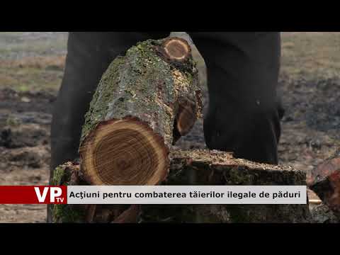 Acţiuni pentru combaterea tăierilor ilegale de păduri