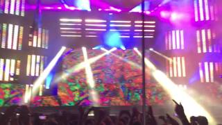 Bassnectar: Reaching Out, Music Is The Drug, Take You Down @ Electric Forest 2016