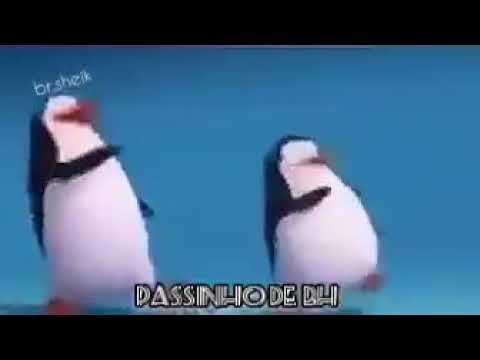 Video Dos 2 pinguins dançando para status Funk