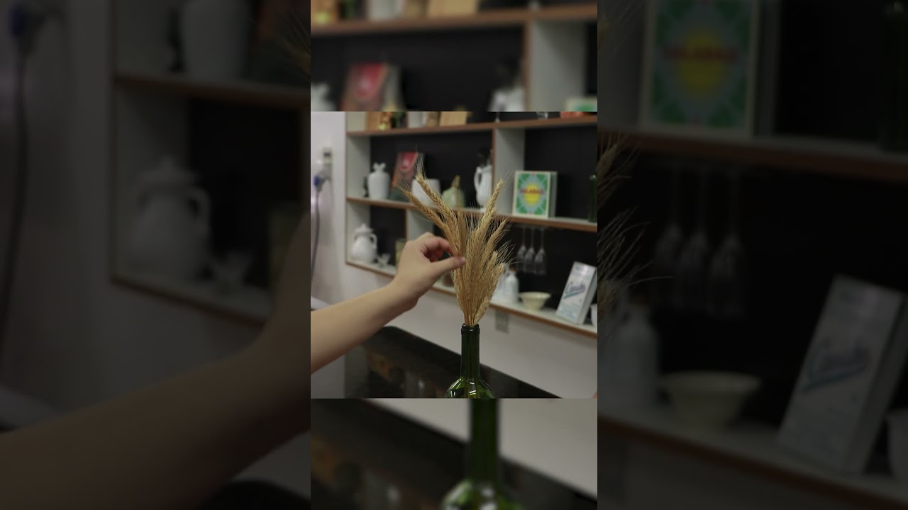 #Shorts - TEASER S6E1 | TARDE DE OUTONO | TOAST ABACATE, TORRE DE PANQUECAS E CAFÉ COADO