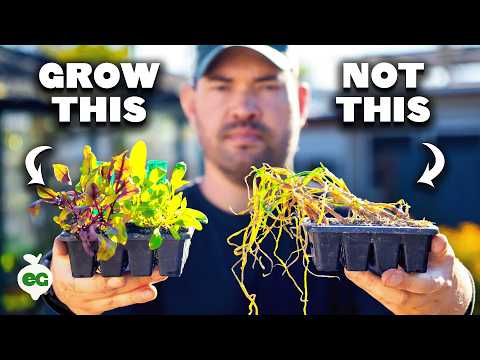 Seed Starting Success: Essential Tips Before You Begin