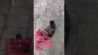 幸せを感じる力をupしよう