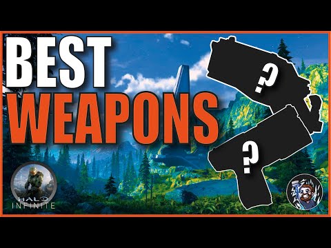 Halo Infinite Campaign Best Weapons!