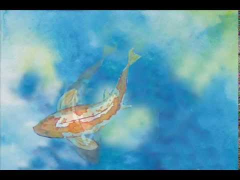 Bad Fish video