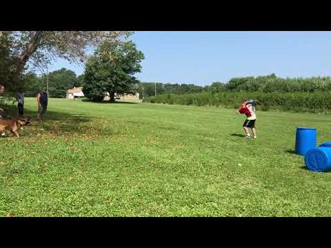 Thijs doing a protect on Bubba