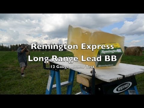 Ammo Test! 12 Gauge BB - Remington Express Long Range Lead BB