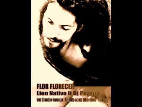 LION NATIVO ft DJ POZIMA - FLOR FLORECER (Audio Oficial)