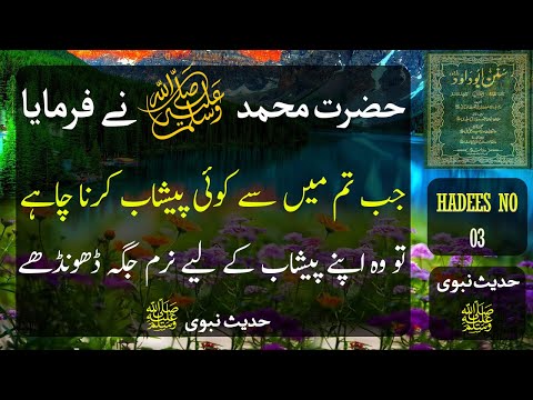Sunan Abu Dawud - Hadith NO 03 - Muhammad Faheem