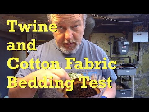 Red wiggler worms in twine & cotton bedding fed after 12 days - vermicompost