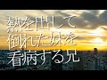 voice:Act ch. 歌劇あくと