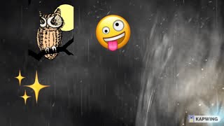 Download lagu Owl And Spider mp3
