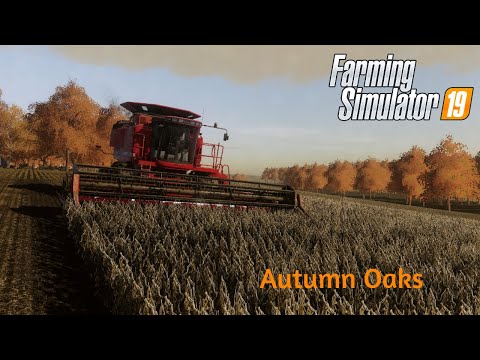 Harvesting Narrow Beans On Autumn Oaks | Farming Simulator 19