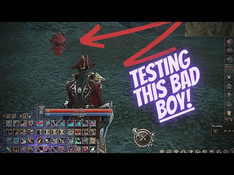 Lineage 2 Classic Giran Server Finally Getting First Aghation Testing Atribute Damage