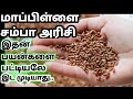 மாப்பிள்ளை சம்பா அரிசி பயன்கள் Mappillai Samba