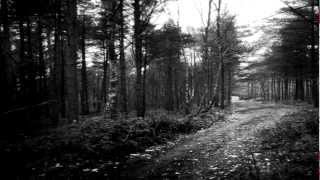 Uaral - The Writing And The Cry