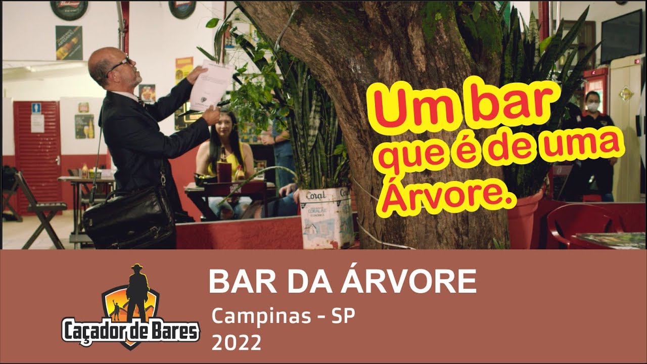 Bar da Árvore em Campinas SP