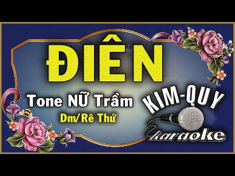 ĐIÊN ( Y Vũ ) - KARAOKE - Tone NỮ Trầm ( Dm/Rê thứ )