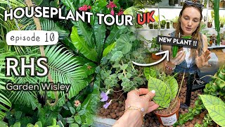 Plant Tour + Haul at RHS Wisley | Houseplant Tour UK e10