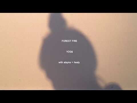 YOG$ - Forest Fire (with alayna & healy)
