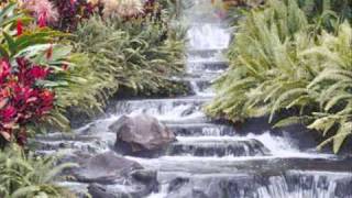 Marie serneholt That&#39;s the way my heart goes