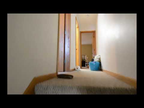 Brookfield - Video 2 of 2