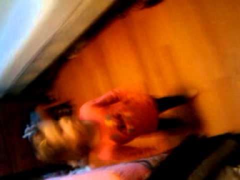 Sofijaaaa gangnam style