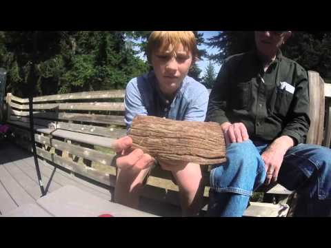 Branch Spinners Grandpa Rufus